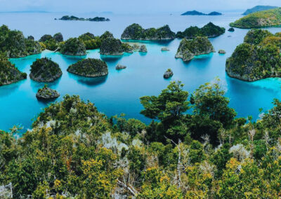 Baliem Valley & Raja Ampat 10D/9N