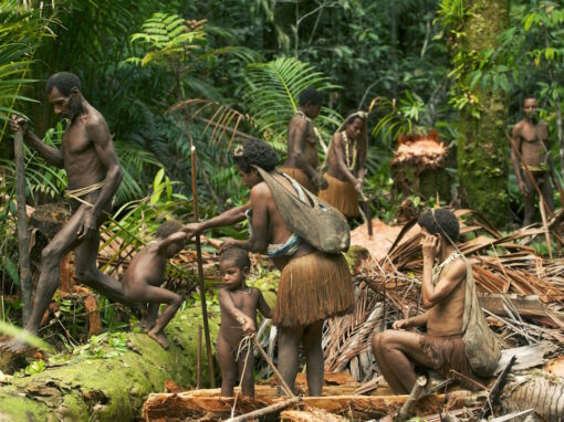 Papua Filming Project 10D/9N