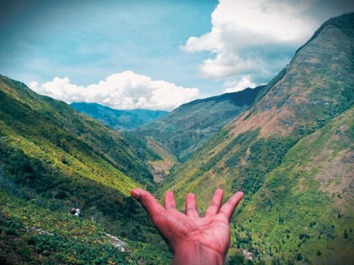 Baliem Valley Rurals Trek