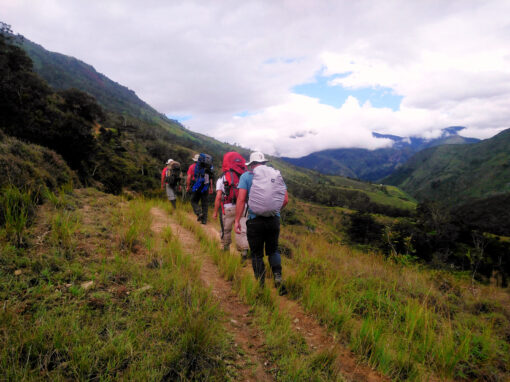 Baliem Valley Trekking 5D/4N