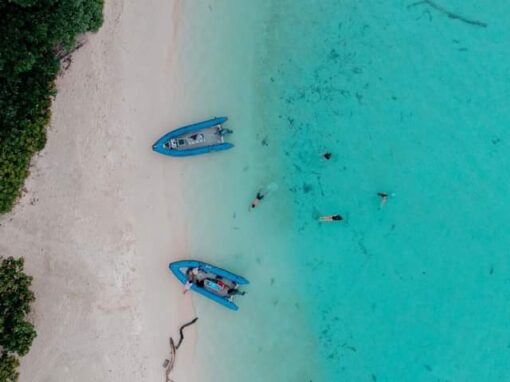 Raja Ampat 6 Days – Option 1