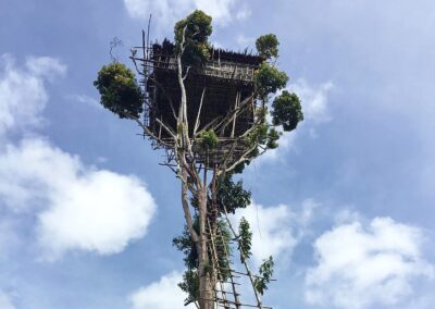 Baliem Valley & Korowai Tours 11 Days