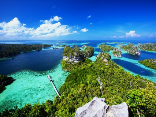 Explore Misool 5D/4N