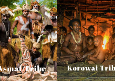 14 Days Asmat and Korowai Trips