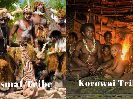 14 Days Asmat and Korowai Trips