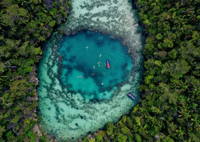 Baliem Valley Cultural Festival & Raja Ampat Tours 2025