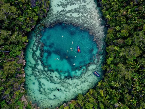 Baliem Valley Cultural Festival & Raja Ampat Tours 2025