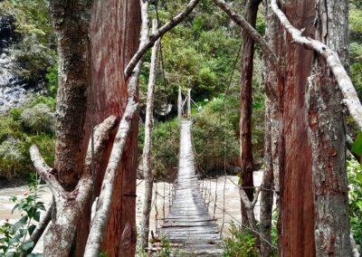 Baliem Valley Jungle Camping & Adventure Trek 2025