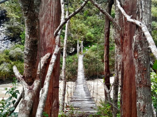 Baliem Valley Jungle Camping & Adventure Trek 2025