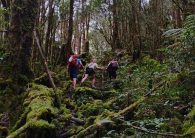 Baliem Valley Camping & Hiking Trek